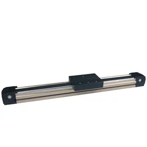 Manufacturer Dust Proof Linear Module Stainless Steel Aluminum Single Axis Linear Guide