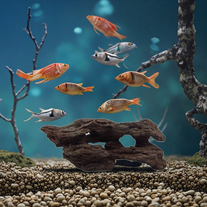 <span class=keywords><strong>Driftwood</strong></span> ragno rami assortiti acquario acquario decorazione rettile deriva ornamento di legno corteccia - Product Image 4