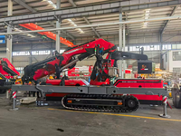 Grue araignée sur chenilles Chengli CK728 35 tonnes à flèche pliante, mini-élévateur pour installation d'équipements lourds dans les sous-sols, usines et espaces étroits