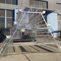 Nouveau design moderne 4 couches de type A cage à œufs en maille usage domestique poules pondeuses chinoises poulet en acier galvanisé ferme avicole automatique