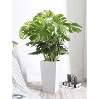 Usine de gros grand blanc intérieur/extérieur pot de ciment plante personnalisable pour le jardin ou la maison à bas prix