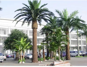 Árboles de algas marinas, árboles de coco Neptuno, palmeras artificiales, plantas artificiales grandes para exteriores - Product Image 1