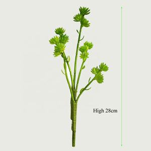 Planta de cactus grande para exteriores, mini suculentas artificiales de tacto real, sedum eceveria, púas en maceta, sin maceta, pequeñas para Decoración - Product Image 4