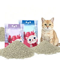 OEM Kantong 5KG Partikel Kecil Daya Serap Air Tinggi Rendah Debu Ramah Lingkungan Pengendalian Bau Efektif Pasir Kucing Bentonit Alami