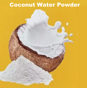 100% doğal hiçbir katkı maddesi sprey spor enerji takviyesi için potasyum elektrolit zengin kurutulmuş hindistan cevizi su tozu - Product Image 2