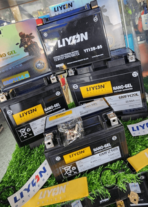 <span class=keywords><strong>Batería</strong></span> <span class=keywords><strong>de</strong></span> <span class=keywords><strong>Gel</strong></span> <span class=keywords><strong>para</strong></span> Motocicleta al por Mayor, <span class=keywords><strong>Precio</strong></span> <span class=keywords><strong>de</strong></span> Fábrica, <span class=keywords><strong>Batería</strong></span> <span class=keywords><strong>de</strong></span> Alta Capacidad <span class=keywords><strong>para</strong></span> Motocicleta YTZ14S/6MFZ12 <span class=keywords><strong>para</strong></span> Motocicleta VMAX <span class=keywords><strong>de</strong></span> 1700CC - Product Image 5