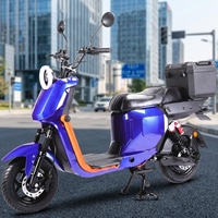 Vélo Électrique à Pédales Assistées 1000W 60V avec Grand Siège, Scooter Électrique Urbain pour Adultes à Longue Autonomie - Vente Flash