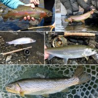 Skuit Kit pancing serbaguna, dompet pemimpin besar untuk memancing di sungai danau, sungai, Kombo lengkap dengan kepala menembak
