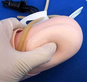 Model pelatihan medis, simulasi lengan latihan tekanan darah, Model lengan pengajaran manusia canggih - Product Image 4