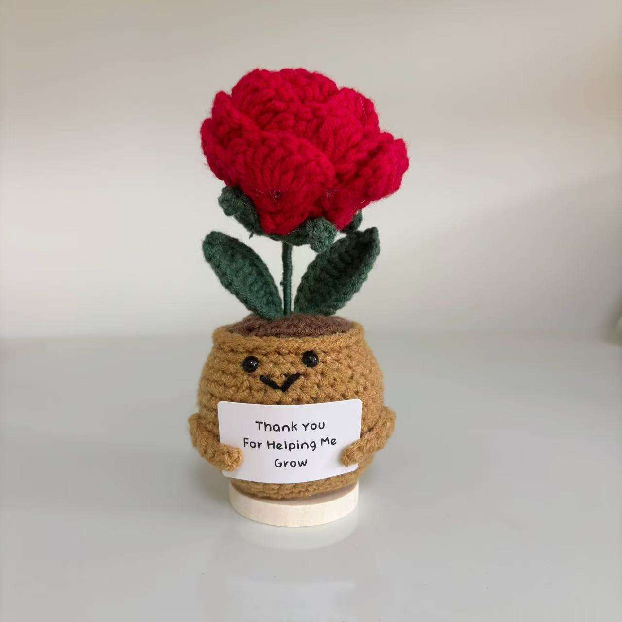 Plante en pot rose rouge