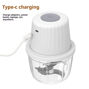 Stampo a iniezione di plastica personalizzato USB portatile personalizzato con ricarica Chopper aglio aglio azienda di sviluppo di prodotti per la casa - Product Image 4