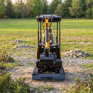 Miniexcavadora con enganche rápido y pala niveladora para paisajismo en patios traseros y trabajos en macizos de jardín, servicio OEM ODM - Product Image 1