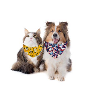 Foulard en polyester imprimé personnalisé pour <span class=keywords><strong>chien</strong></span>, bandana d'anniversaire avec <span class=keywords><strong>chouchou</strong></span>, haute qualité - Product Image 5