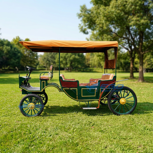 Chariot de golf et de tourisme vintage vert en acier, type calèche, à vendre avec dépôt, transport spécial - Product Image 1