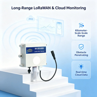 Détecteur de phosphine électrochimique sans fil LoRaWAN PH3 avec alarme sonore pour la sécurité industrielle (0-1000 ppm)
