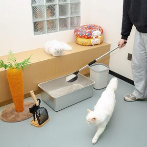 <span class=keywords><strong>Pelle</strong></span> à litière <span class=keywords><strong>pour</strong></span> chat en acier inoxydable antiadhésive avec <span class=keywords><strong>pelle</strong></span> profonde et manche long - Product Image 3