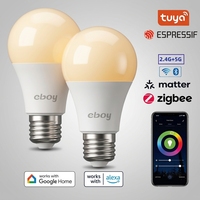 Ampoule LED Intelligente Sans Fil RGB Multicolore Décorative pour Intérieur, Solution d'Éclairage d'Ambiance Festive, Lampe LED RGBW à Activation Vocale pour la Maison