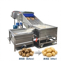 Laveuse commerciale à bulles d'air et à rouleaux brosse pour gingembre, patate douce et pommes de terre, pour usine de transformation alimentaire