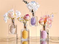 Diffuseur de parfum roseau aromathérapie roseau diffuseur coréen roseau diffuseur