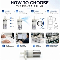 Pompe à eau centrifuge micro sans balais OEM personnalisée à faible bruit 150 kPa DC 5 V 12 V 24 V pour équipement de beauté et machine à café