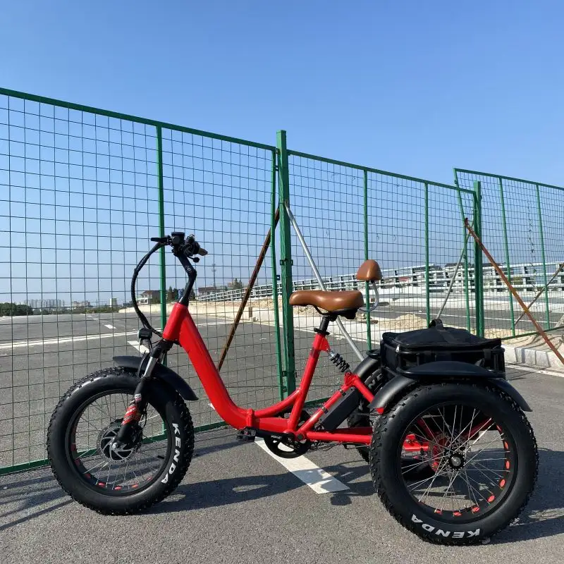 Hot Fat tire 3-wheel Bicycle Lithium 48V 350W 750W Differential shaft Cargo Electric Trike Electric Tricycle for elderly