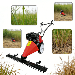 Falciatrice a Spinta per Pascoli 212cc Benzina Larghezza 80-120cm Altezza 1-8cm per Fattorie in Brasile e Argentina - Product Image 1