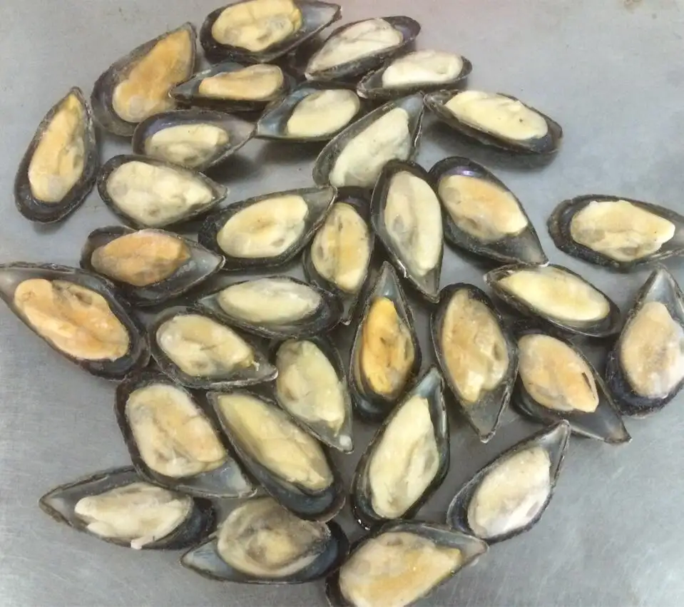 Frozen Cooked Half Shell Blue Mussel