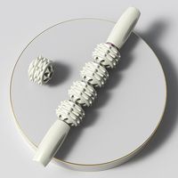 Bâton de massage portable en plastique écologique et acier inoxydable, à picots en forme de dents de loup, pour la relaxation musculaire et la récupération après le yoga