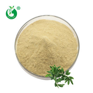 Großhandel Massen preis Oliven blattex trakt Reines Oleuropein CAS Nr. 32619-42-4 - Product Image 1