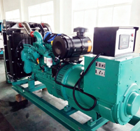 Générateur au gaz naturel et au biogaz personnalisable de 50 à 800 kW, unité de production d'énergie au gaz avec panneau de commande numérique pour l'alimentation industrielle