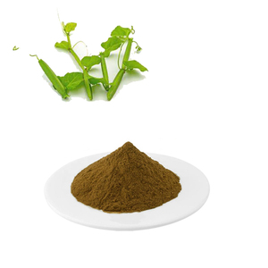Cissus Quadrangularis - 180 gélules avec 720 mg d'extrait - Premium
