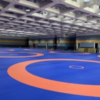Tapis de lutte antidérapant XEP de haute qualité 8mx8m pour l'entraînement aux arts martiaux et les tapis de sport