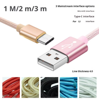 Kabel Pengisi Daya Ponsel Tipe C OEM Berkualitas Tinggi Dengan Kemasan Hangtag 3.3ft 6.6ft 10ft, Kabel Data USB Nylon 10ft Tipe USB-C