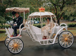 Chariot de princesse Cendrillon motorisé, chariot de mariage de luxe à chevaux, à vendre - Product Image 2