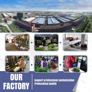 Silla de Madera Pequeña, Adorno en Miniatura, Accesorios de Fotografía, Muebles para Exhibición y Decoración - Product Image 5