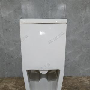 Sıcak satış banyo tek parça tuvalet seramik çift gömme su dolap <span class=keywords><strong>WC</strong></span> tuvalet - Product Image 6