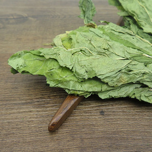 Ren Shen Ye <strong>Ginseng</strong> Leaf Hotsale Fresh Dried Korean <strong>Ginseng</strong> Leaves for Herbal Tea - Product Image 4