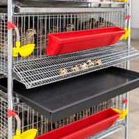 Cage à cailles galvanisée à 6 niveaux avec mangeoires rouges et système d'abreuvement automatique pour élevage de volailles
