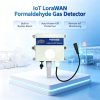Detector de Gas Formaldehído IoT LoRaWAN, Sensor Remoto de HCHO con Alarma y Zumbador para Fábrica y Almacén