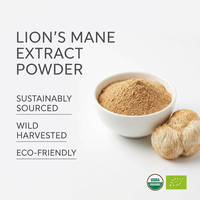 Extrait de Crinière de Lion Premium Polysaccharides 50% USDA EU Biologique Hericium Erinaceus Qualité Supérieure Nootropique OEM Marque Blanche