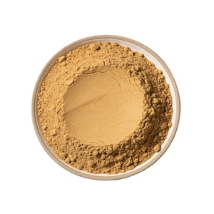 Poudre <span class=keywords><strong>de</strong></span> Luo Han Guo <span class=keywords><strong>de</strong></span> qualité alimentaire en gros, concentré <span class=keywords><strong>de</strong></span> jus <span class=keywords><strong>de</strong></span> fruit <span class=keywords><strong>de</strong></span> <span class=keywords><strong>moine</strong></span> 100% pur - Product Image 2