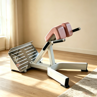 Banc d'hyperextension en acier robuste pour usage commercial, chaise romaine, machine d'extension dorsale pour l'entraînement des fessiers, du bas du dos et du tronc