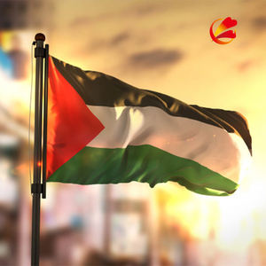 Новинка 2021, лидер продаж, Индивидуальный маленький или большой национальный флаг Палестины любого размера - Product Image 4