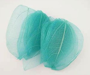 Daun padat pembuluh darah kering alami warna-warni untuk pembatas buku DIY bingkai lukisan buatan tangan dekorasi - Product Image 5