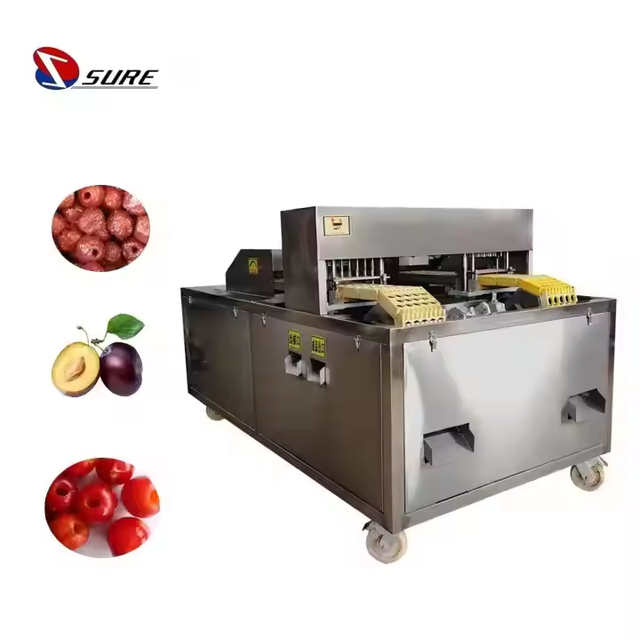 Easy Operation Red Jujube Seed Pitting Machine Olive Pitting & Stuffing Machine Peach Pitting Machine