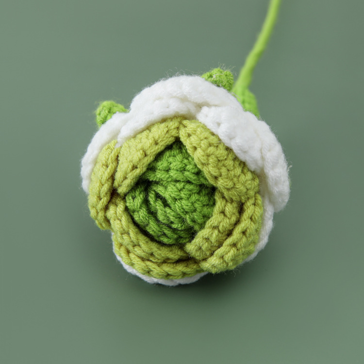 Produit fini rose vert dégradé