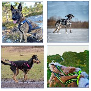 Rompi sabuk luar ruangan untuk latihan kerja, rompi olahraga luar ruangan, pengekang anjing kanicross lengan, untuk anjing alykan <span class=keywords><strong>Malamute</strong></span> & Husk Siberia - Product Image 5