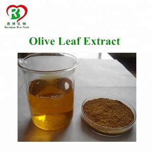 Arco-íris Fornecimento de alta qualidade Natureza <span class=keywords><strong>Olive</strong></span> Folha <span class=keywords><strong>Extract</strong></span>/<span class=keywords><strong>Olive</strong></span> Folha <span class=keywords><strong>Extract</strong></span> <span class=keywords><strong>Hydroxytyrosol</strong></span>/ Oleuropein 20% 40% - Product Image 3