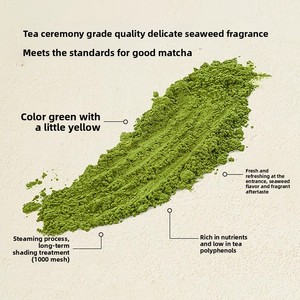 มัทฉะลาเต้เครื่องดื่มสำเร็จรูป ขนมเบเกอรี่ ขายส่ง กาแฟสำเร็จรูป <span class=keywords><strong>เก</strong></span>รดชา อิซูซุ ผงชาซอง 16 กรัม ซีลปิดสนิท - Product Image 3