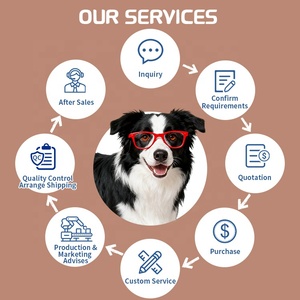 Nhà máy nhận thức chất lỏng cho vật nuôi não bổ sung chó mèo nhận thức giọt với chất chống oxy hóa mạnh OEM ODM hương vị - Product Image 3